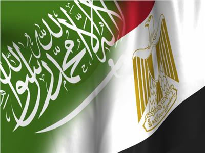 اتفاق سعودي مصري على ضمان حرية الملاحة في مضيق باب المندب والبحر الأحمر (بيان)