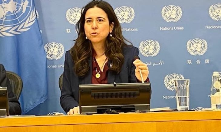 مسؤولة اماراتية: قرار مجلس الامن بشأن كان "رائداً" والحوثيون بحاجة إلى تحفيز من أجل السلام وليس الهجمات العابرة للحدود