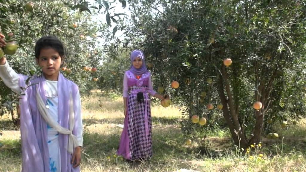 الحوثيون يهددون بحرق مزارع من يرفضون دفع "المجهود الحربي"