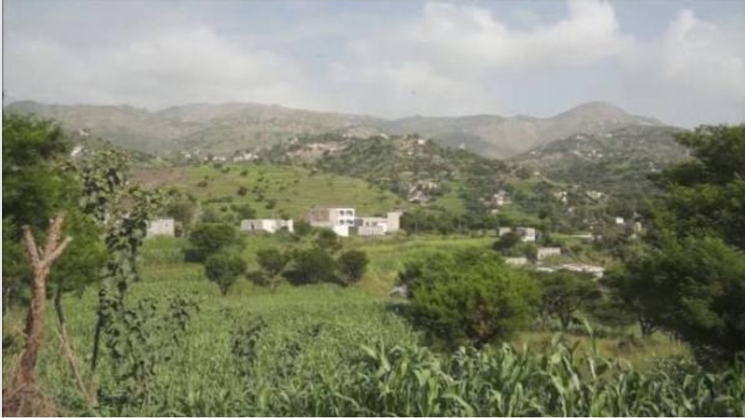 ذو شهادات عليا ومراتبه مرموقه.. يقدم على ذبح طفل في مارب فما هيا دوافعه