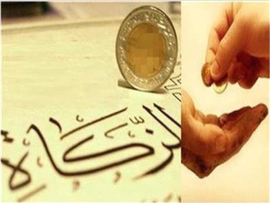 الإفتاء: حكم إخراج زكاة الفطر نقداً..