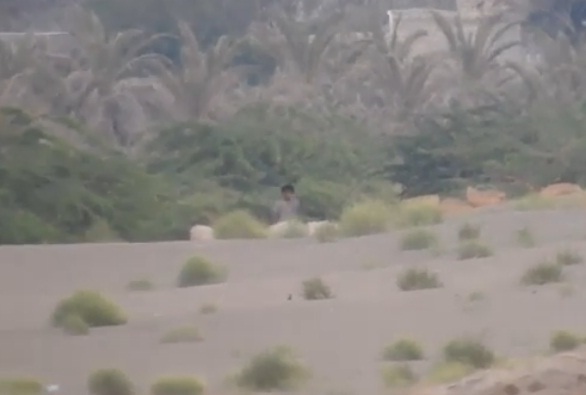 بالفيديو...الإطاحة بخامس قناص حوثي في الحديدة 