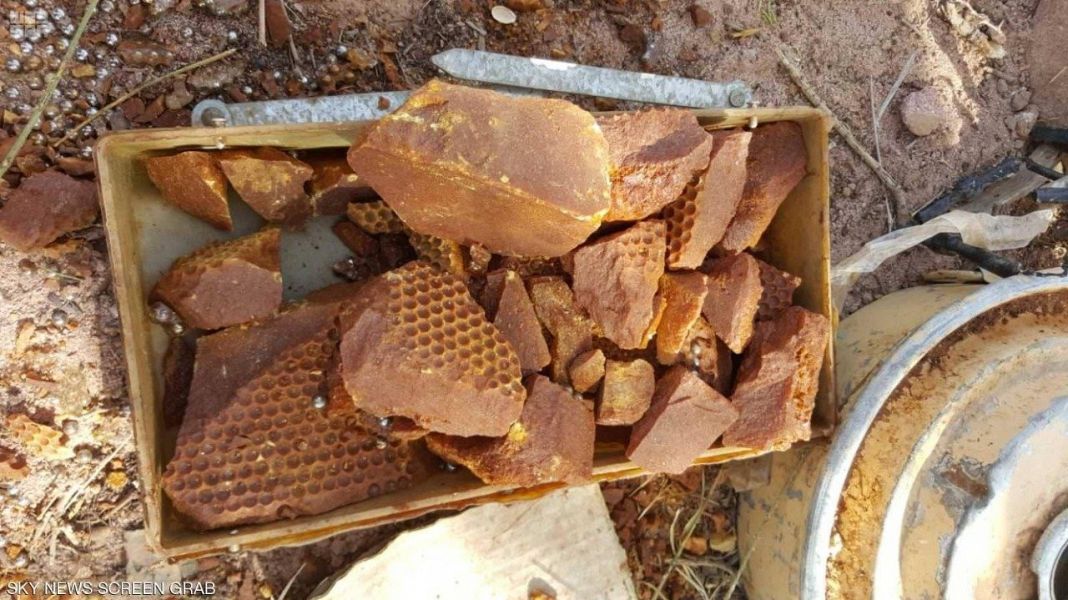 "مسام" ينزع 4536 لغماً حوثياً خلال أول أسابيع ديسمبر الجاري