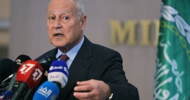 أبو الغيط يتحدث عن فرصة نادرة لوقف نزيف الدم في اليمن 