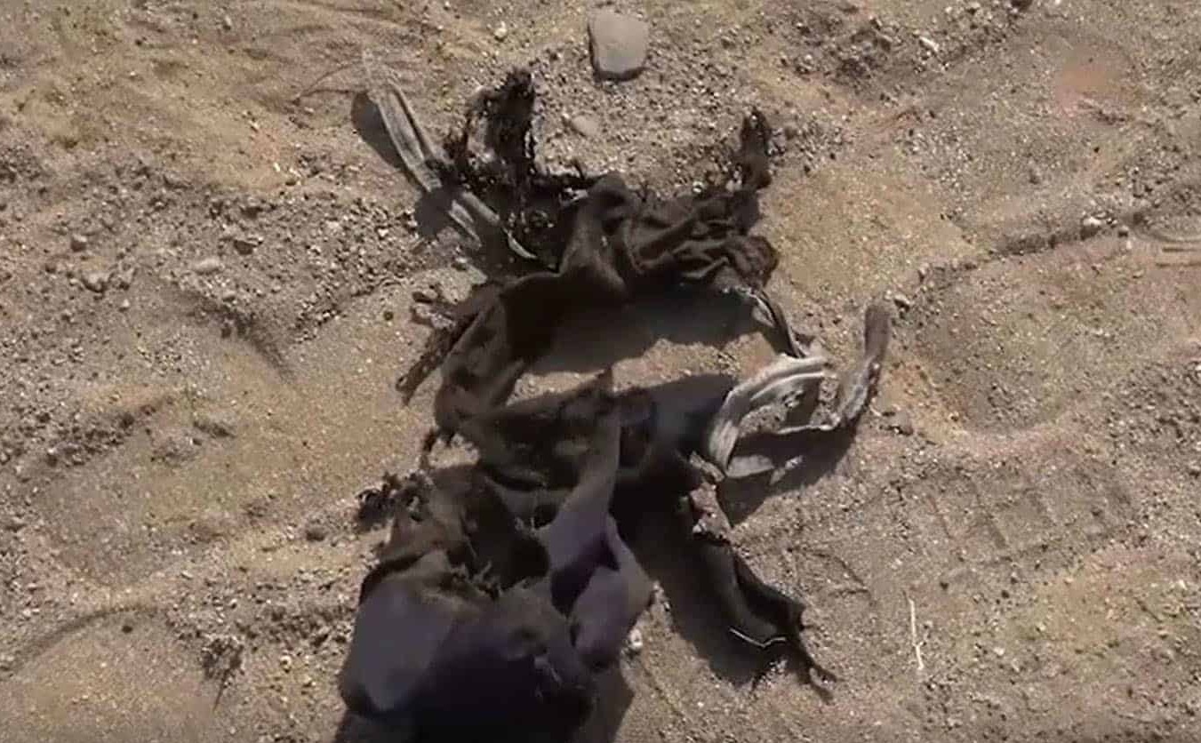 إصابة مدني بانفجار لغم حوثي غرب اليمن