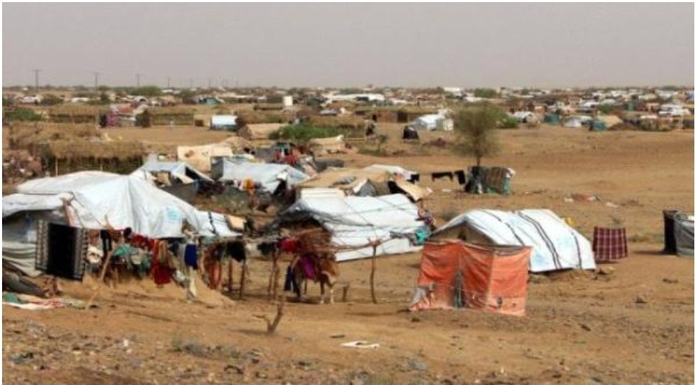  الأمم المتحدة: 423 أسرة يمنية نزحت خلال الأسبوع الماضي معظمها في محافظة شبوة جنوبي شرق اليمن