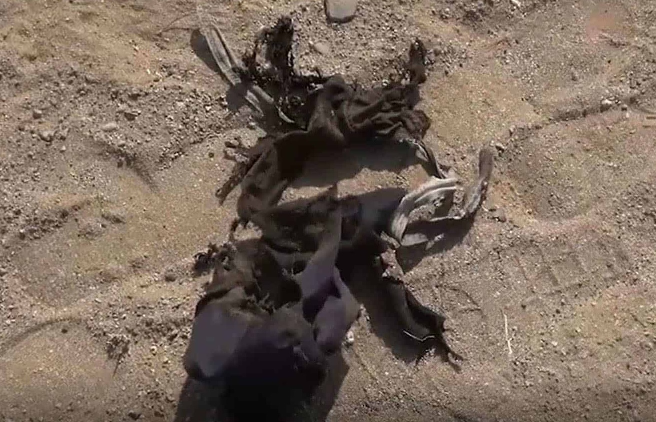 إصابة مزارع بجراح خطيرة إثر انفجار لغم حوثي غرب اليمن