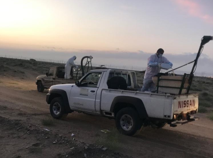 استنفار سعودي بعد غزو أسراب مجنحة أراضي المملكة