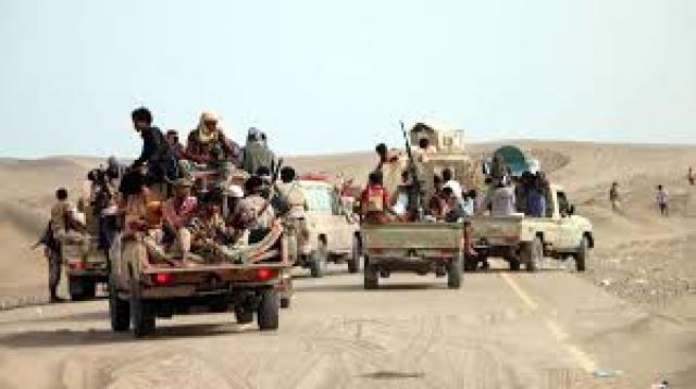 صيد ثمين يقع بيد الجيش الوطني في مأرب.. ومصادر تكشف التفاصيل