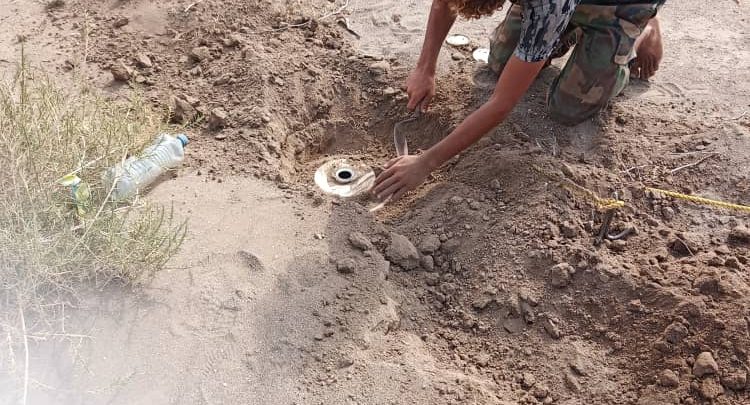 نزع وتفكيك 82 لغماً و13 عبوة ناسفة زرعها الحوثيون داخل حي سكني في الحديدة