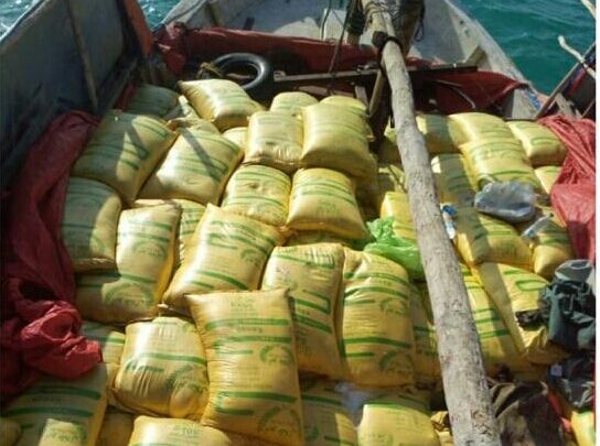 ضبط زورق حوثي يحمل موادا لتصنيع المتفجرات في مياه البحر الاحمر