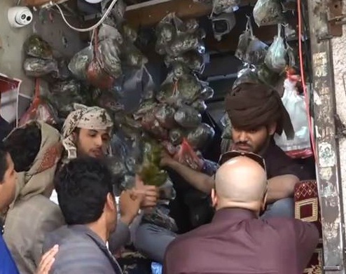 القات..."رسول السلام" بين أطراف الصراع في اليمن 