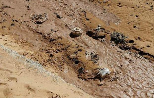 إبطال مفعول لغمين جرفتهما سيول من اليمن إلى مدينة سعودية