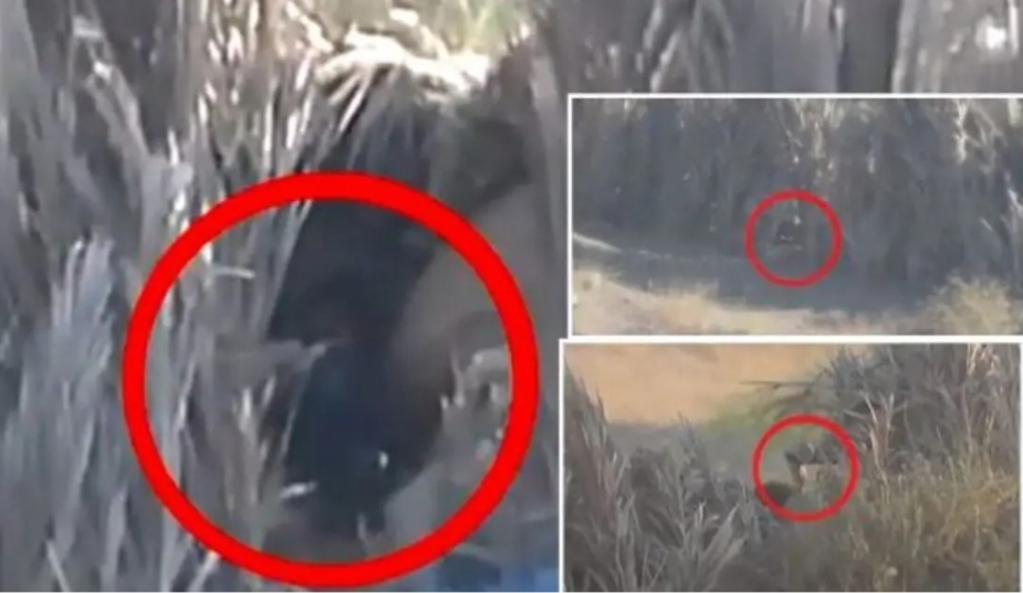 فيديو.. مقتل 10 قناصة من ميليشيا الحوثي على خط زبيد