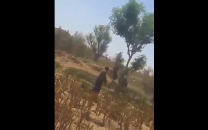 شاهد بالفيديو..عناصر حوثية تقتل مسنة أمام أبنائها شمال اليمن