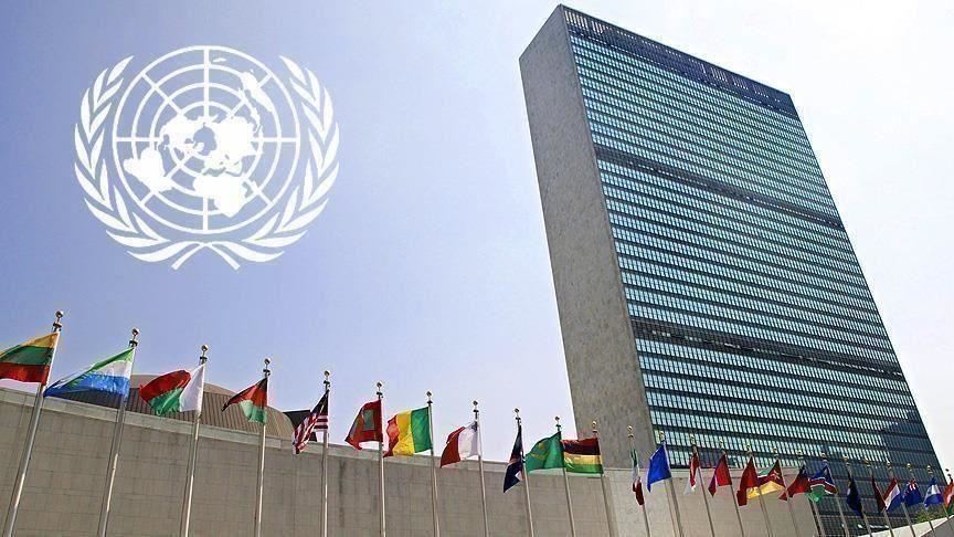 فضيحة مدوية حول عمل فرق خبراء مجلس الأمن المعني باليمن تجبر خبيرا في الفريق على الاستقالة