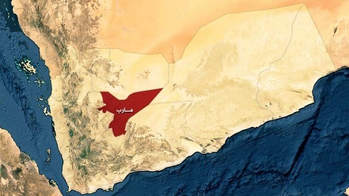 أمن مارب يضبط 100 كيلو حشيش كانت في طريقها إلى مناطق الحوثيين