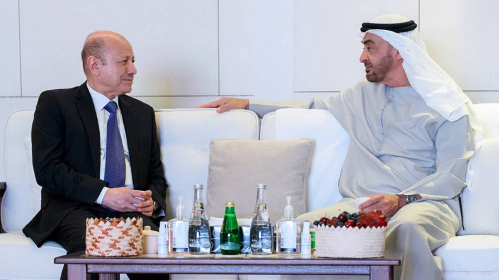 محمد بن زايد والعليمي يجريان مباحثات حول دعم السلام في اليمن