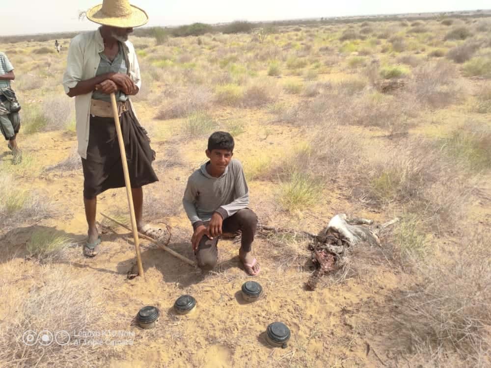 مقتل وإصابة 118 مدنياً منذ مطلع 2023 جراء مخلفات الحرب في مناطق ميليشيا ايران باليمن