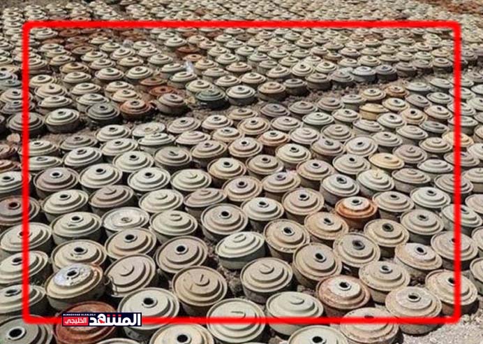 الأمم المتحدة:  اليمن من أكثر البلدان تلوثا بالألغام الارضية في العالم