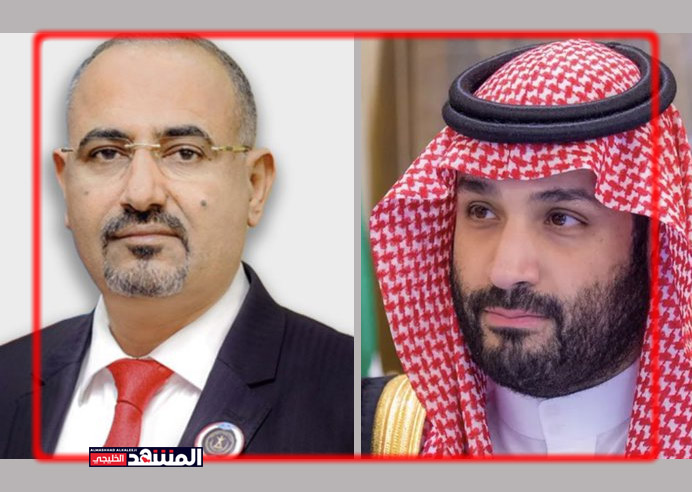 خبير سعودي يطمئن الانتقالي: لا تأثير يذكر على قضيتكم من الكتاكيت وأمهم!