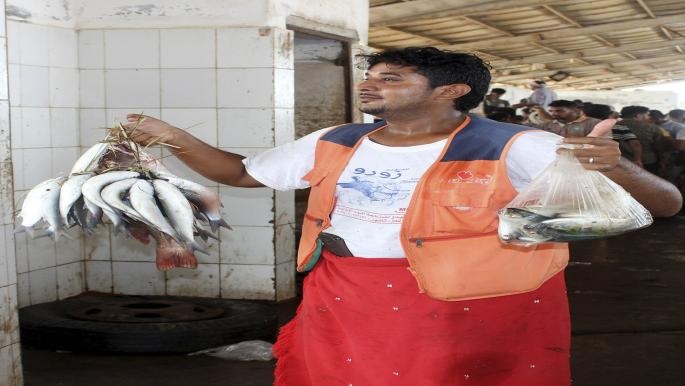 الحكومة اليمنية تتجه نحو وقف تصدير المنتجات السمكية والزراعية