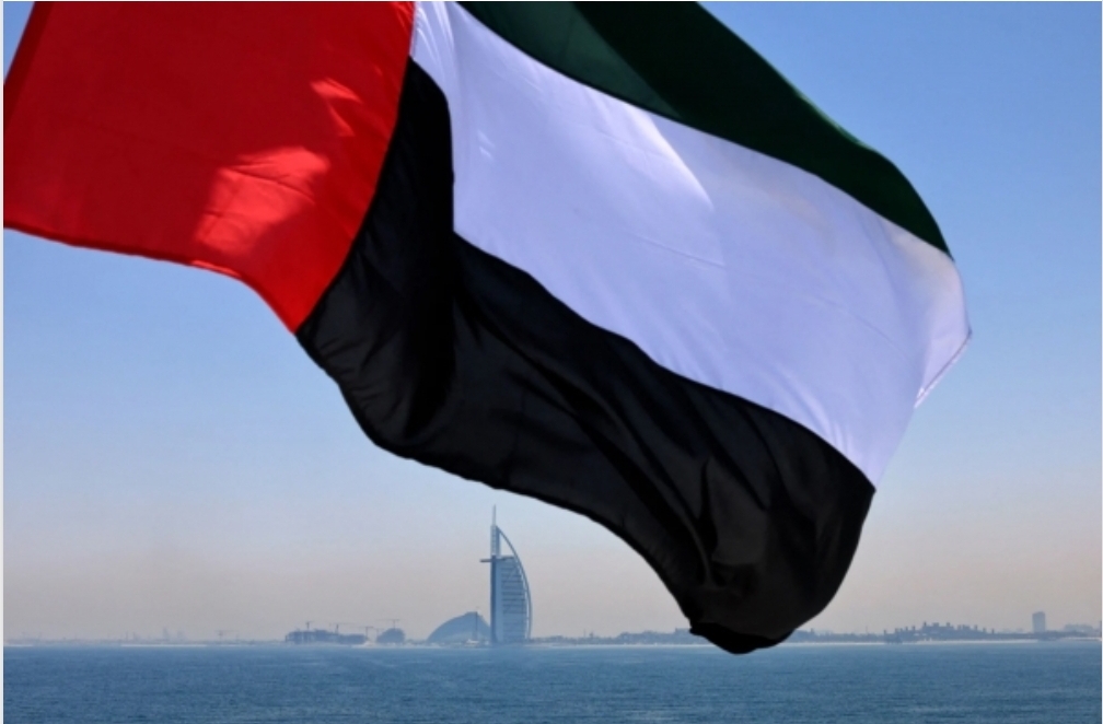 مسؤول اماراتي يكشف موقف بلاده من الأحداث الأخيره لحل الأزمة في اليمن