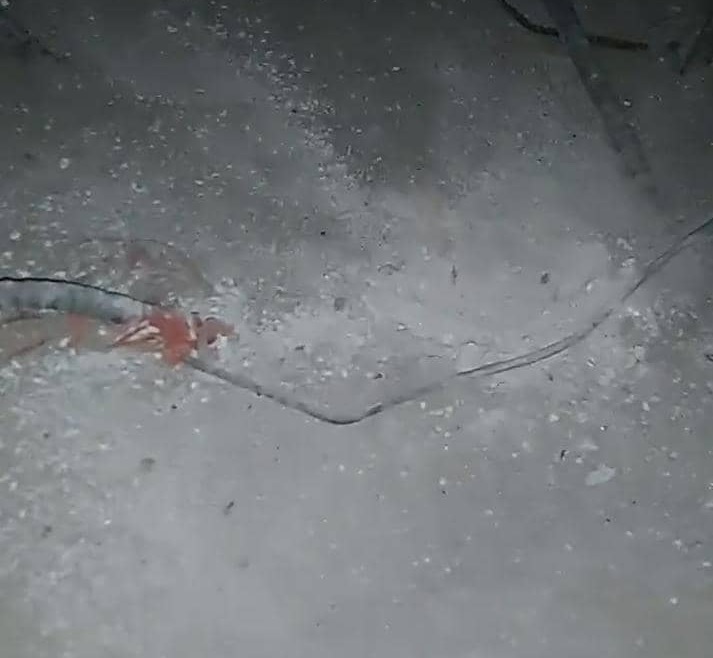 مجهولون يستهدفون منزل مسؤول في قوات الحزام الامني جنوب اليمن