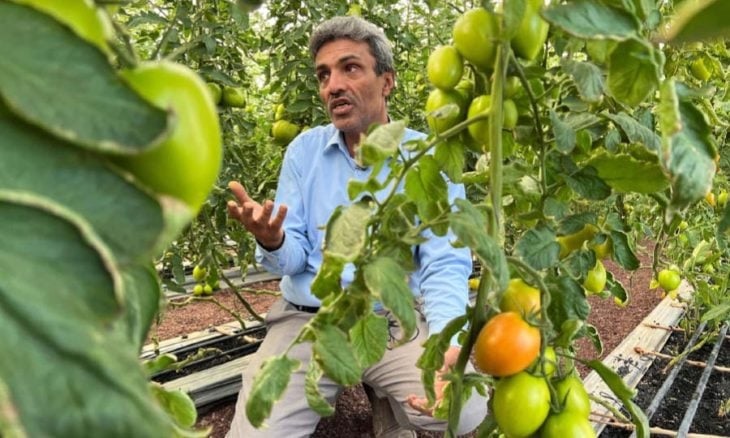 الجفاف يدفع اليمنيين إلى تقنية الزراعة المائية داخل الدفيئات بدون استعمال التربة