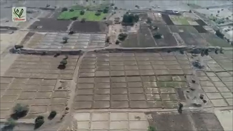 مشروع سعودي يعيد الحياة لأكثر من 250 مزرعة غرب اليمن بعد تطهيرها من ألغام الحوثي - (فيديو)
