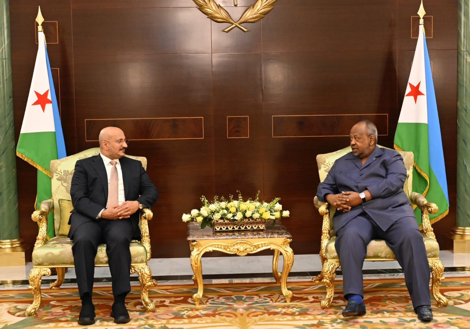 طارق صالح يلتقي الرئيس الجيبوتي ويبحثان سُبل مواجهة تهديدات الملاحة الدولية عرض البحر الأحمر